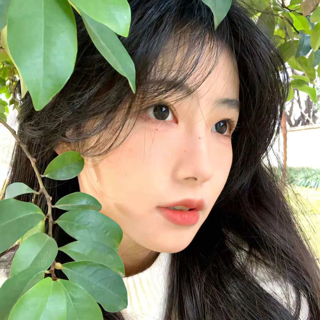 五个朋友2